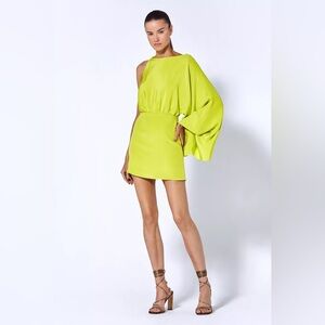 ALEXIS Wesley mini dress